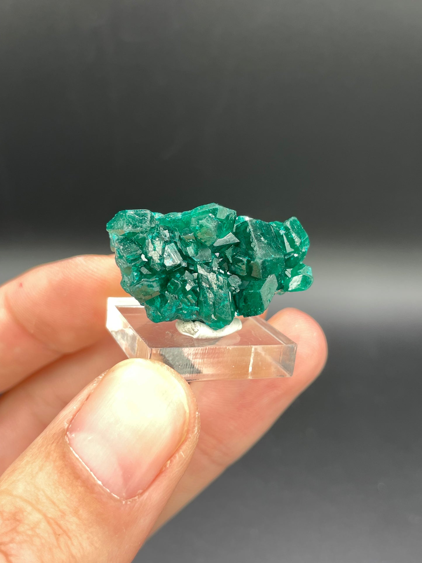Dioptase, Tantara Mine, Haut-Katanga, DR Congo