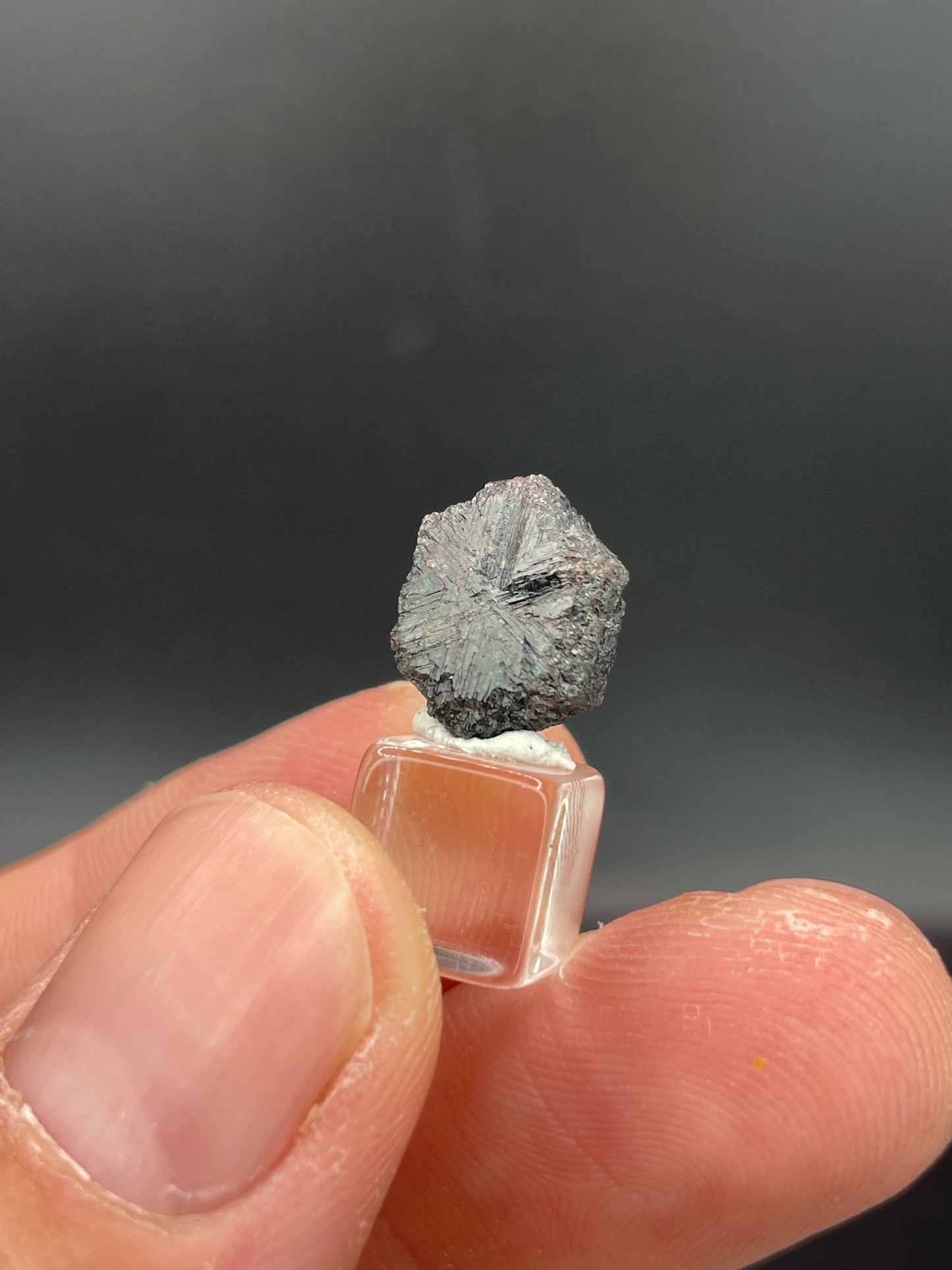 Alexandrite, Novello Claim, Zimbabwe