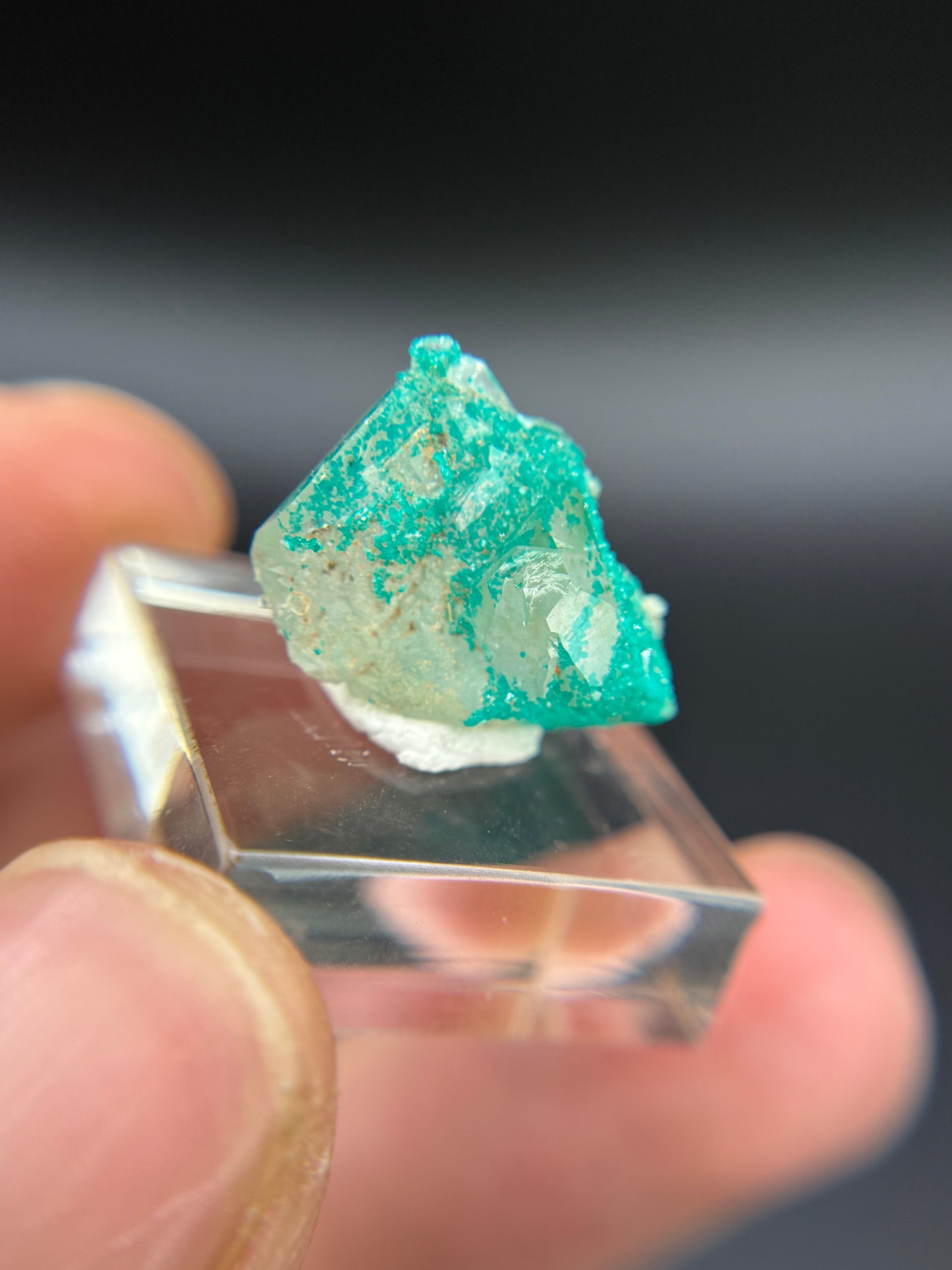 Dioptase and Quartz, Kunene Region, Namibia