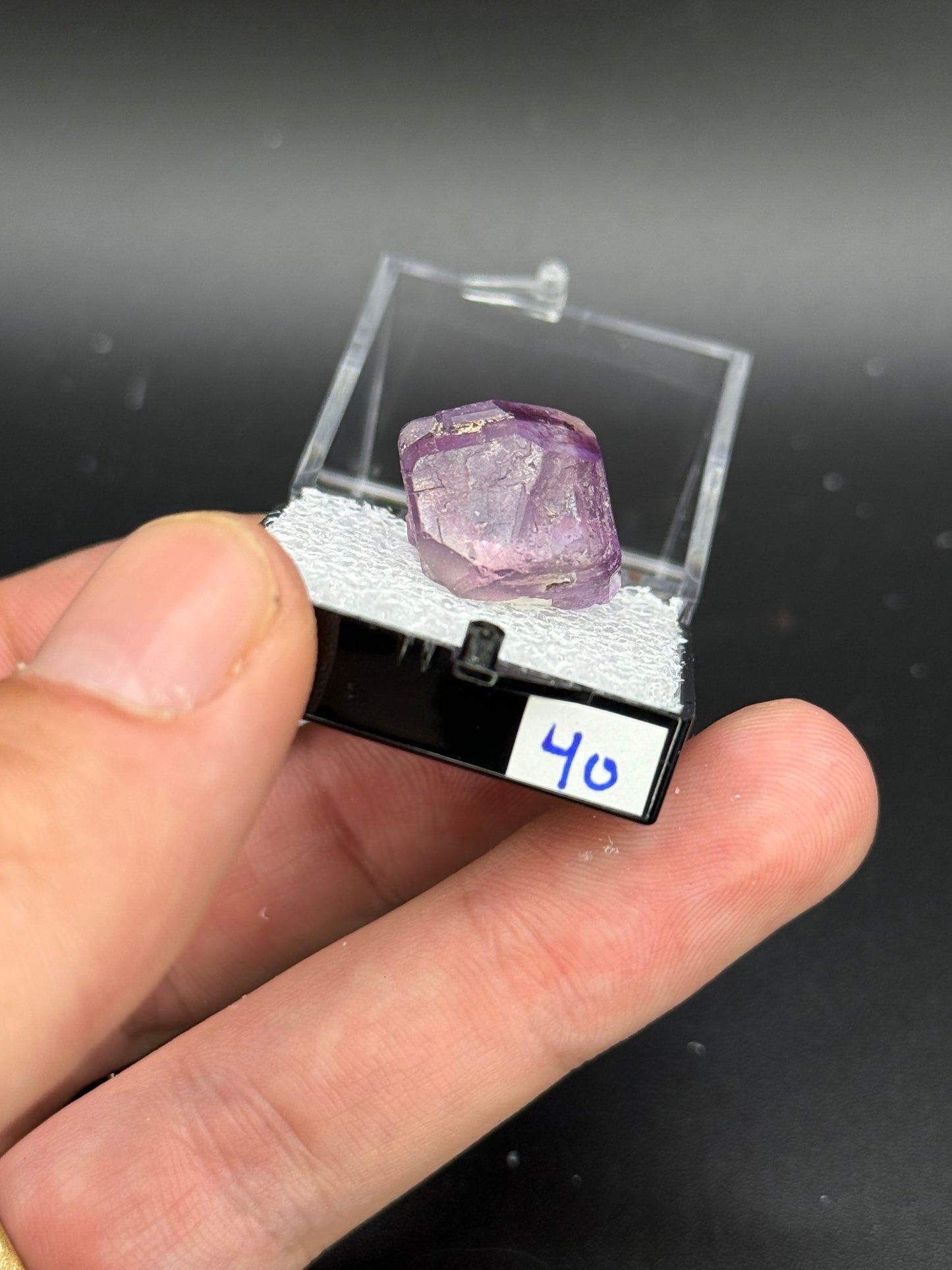 Fluorite, Mandinga Mine, Laguna Brava, Loboy District, Unión Department, Córdoba Province, Argentina.