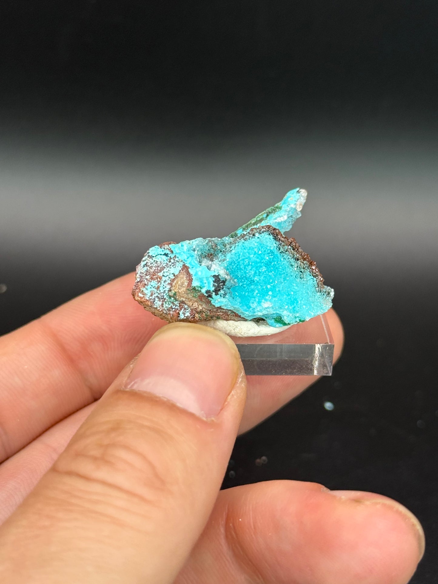 Quartz and Malachite on Chrysocolla Pseudomorph after Baryte, Lupoto Mine, Kakumba, Kipushi Territory, Haut-Katanga, DR Congo