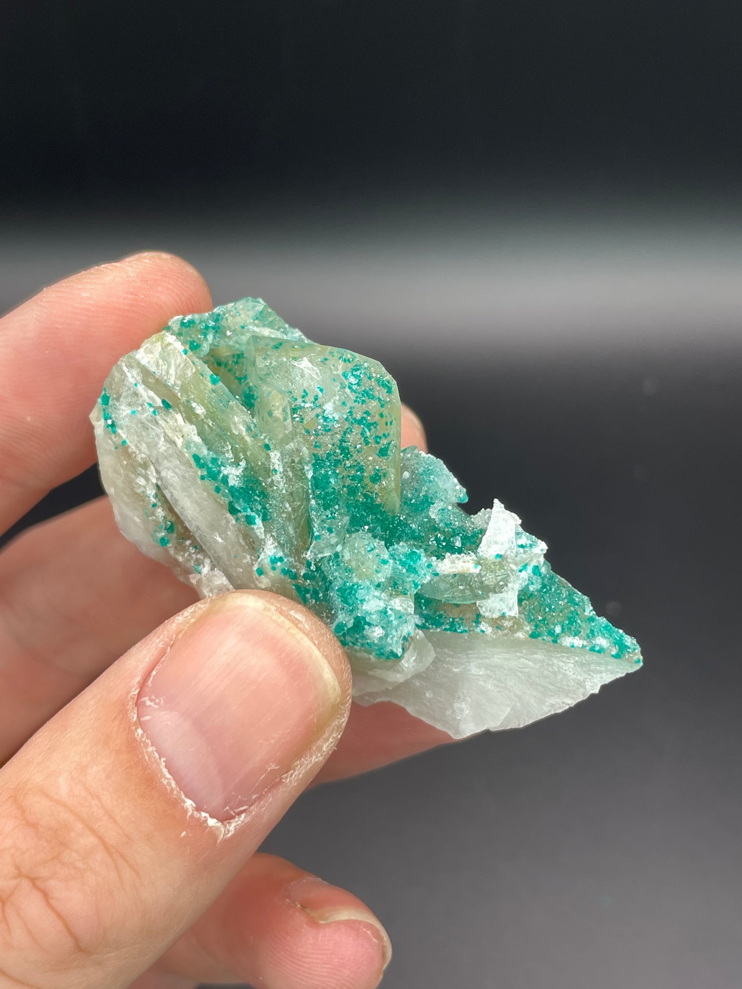 Dioptase and Quartz, Kunene Region, Namibia