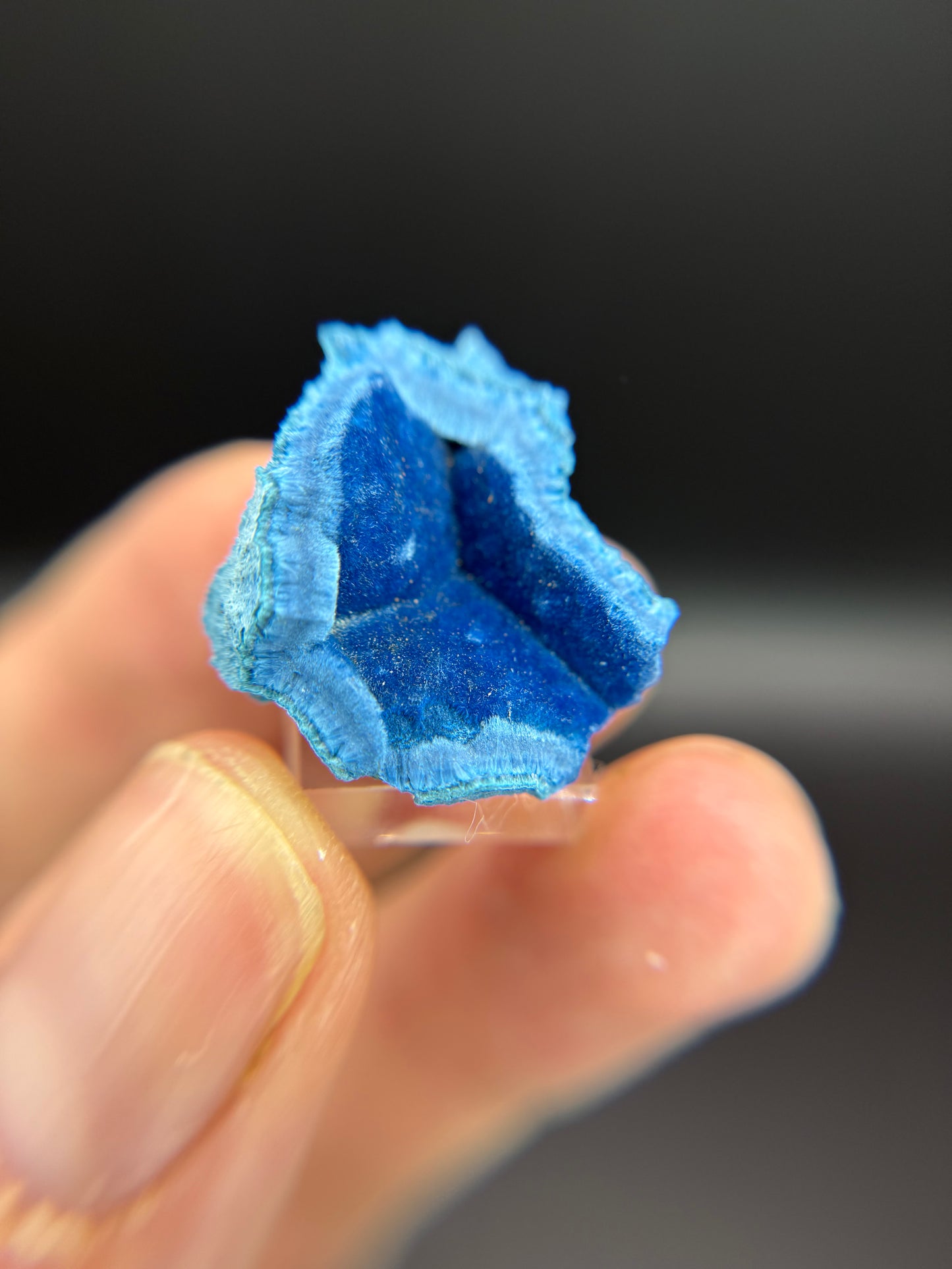 Shattuckite, Kunene Region, Namibia