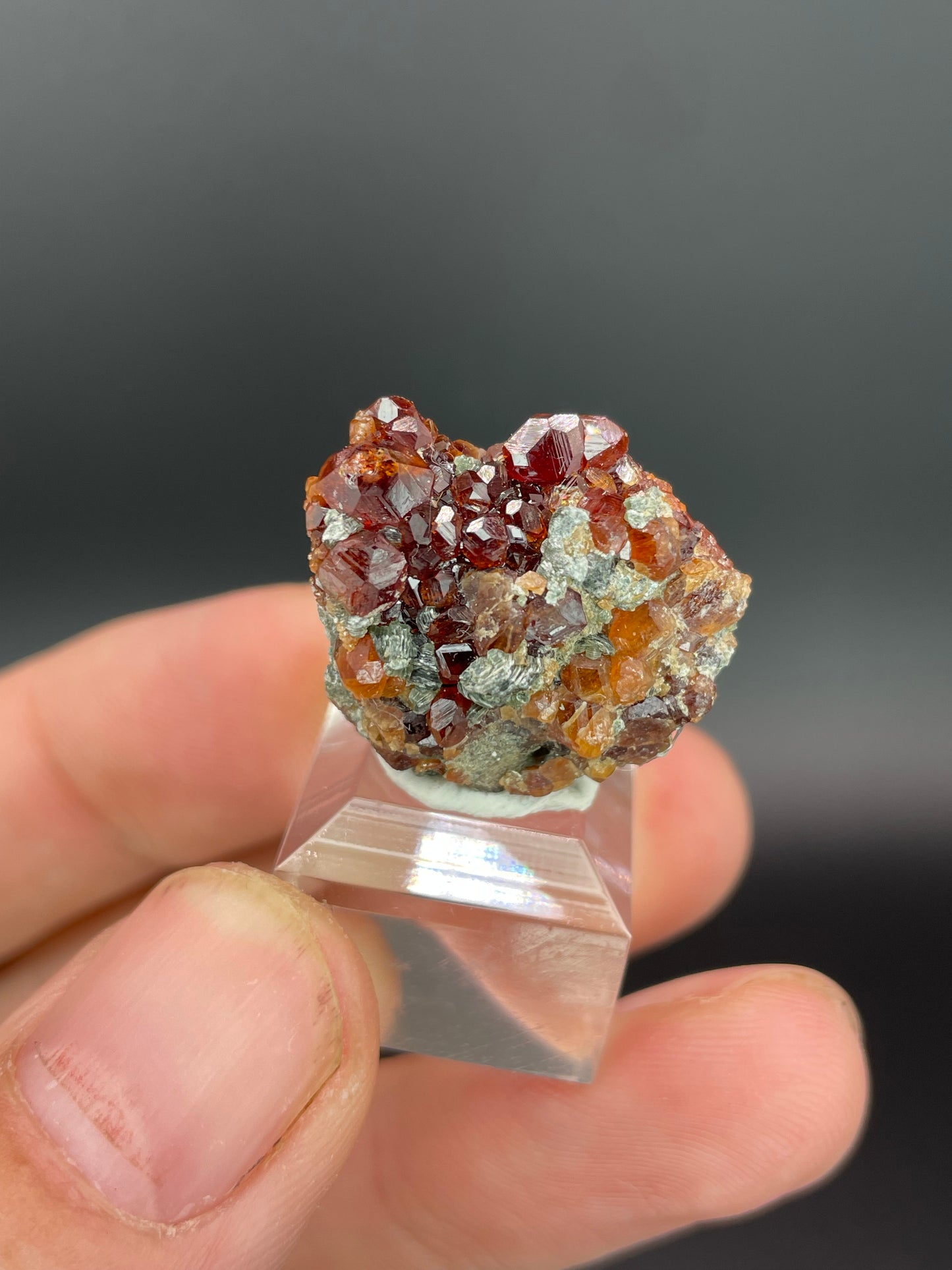 Hessonite Garnet with Clinochlore, Valle d'Aosta