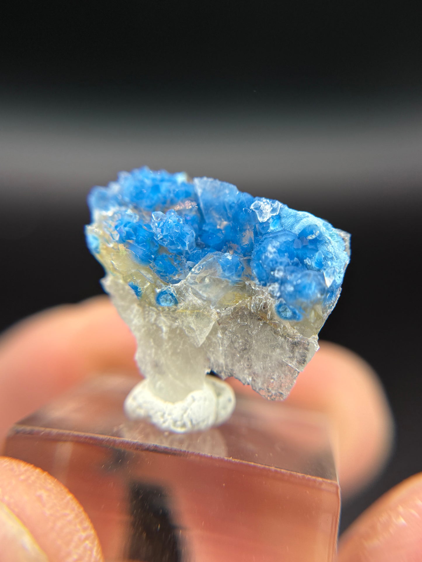 Shattuckite in Quartz, Kunene Region, Namibia