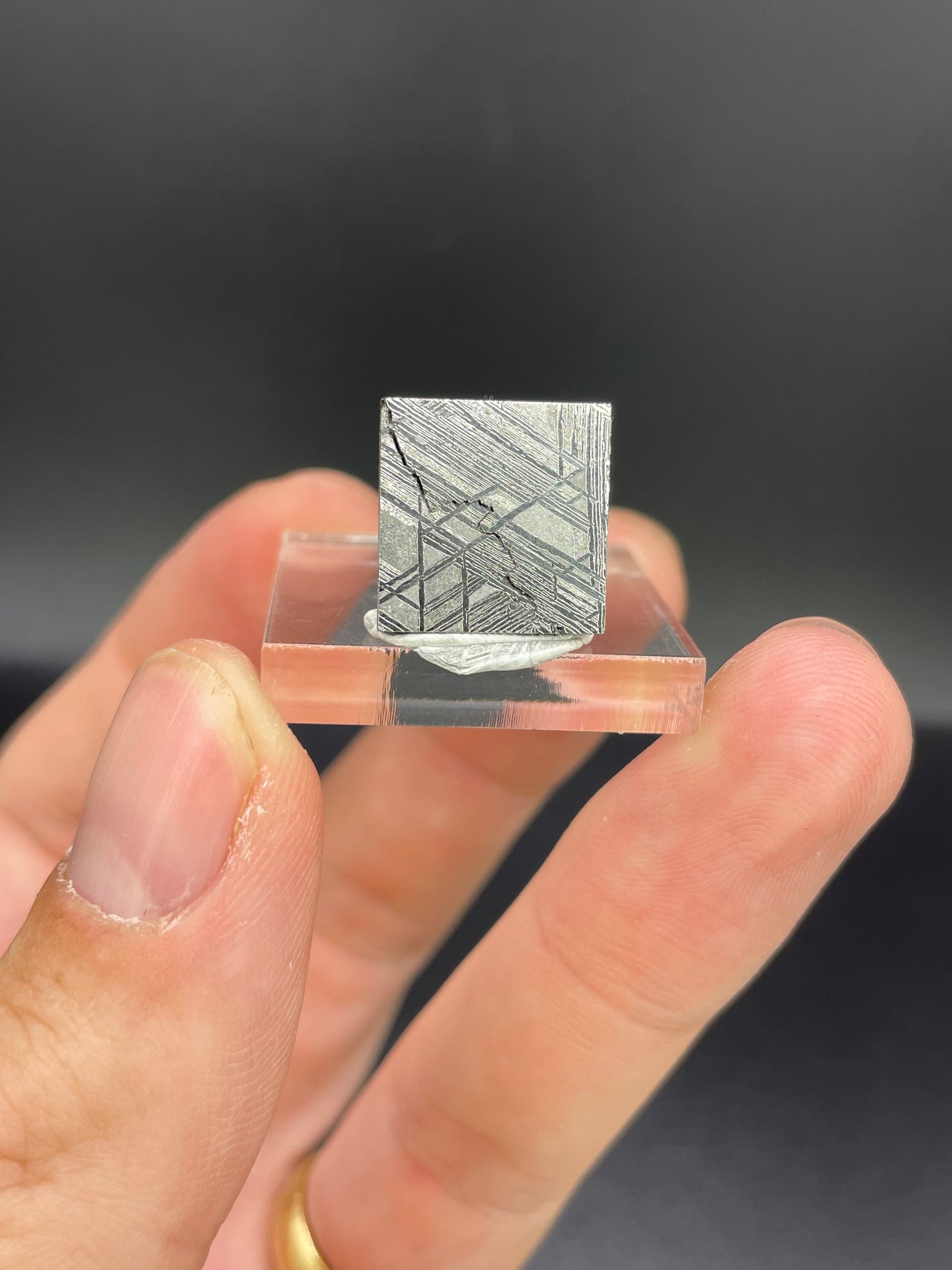 Muonionalusta Meteorite Slice from Norrbotten, Sweden