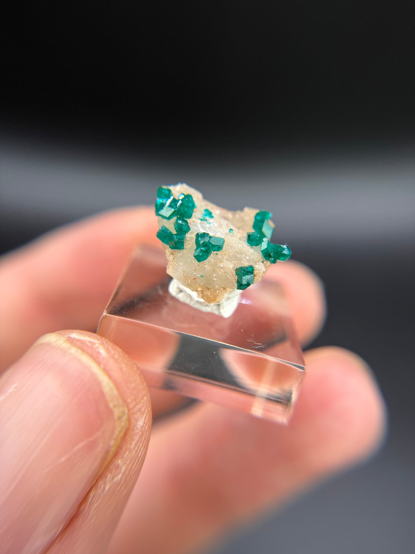 Dioptase on Quartz, Kunene Region, Namibia