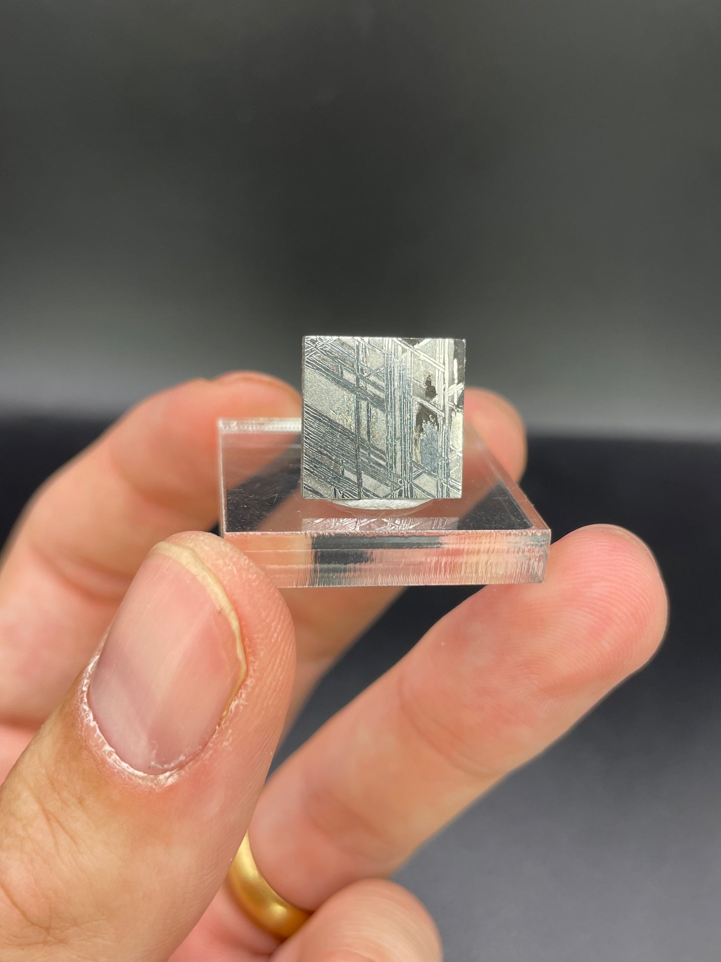 Muonionalusta Meteorite Slice from Norrbotten, Sweden