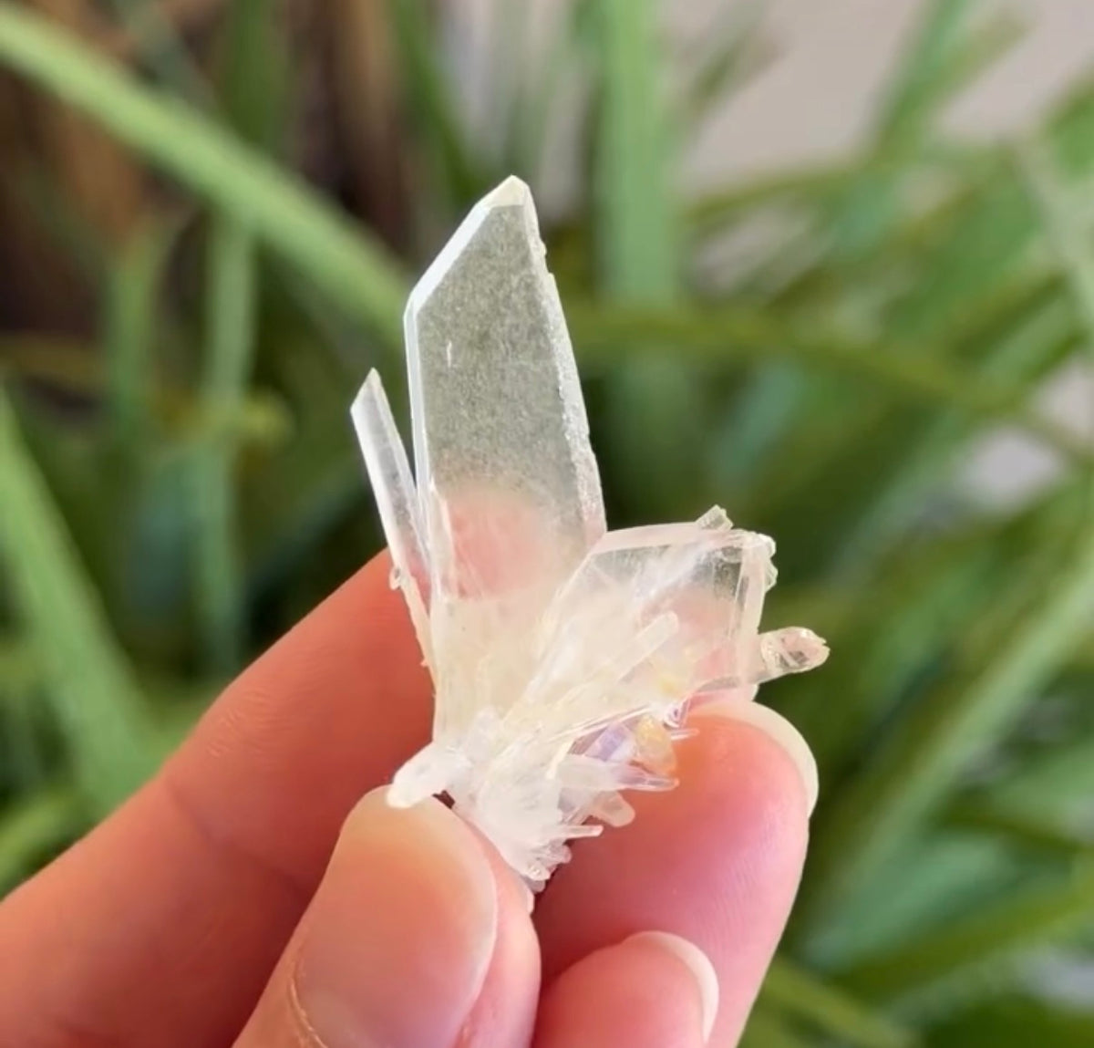 Japan Law Twin Quartz Switzerland
