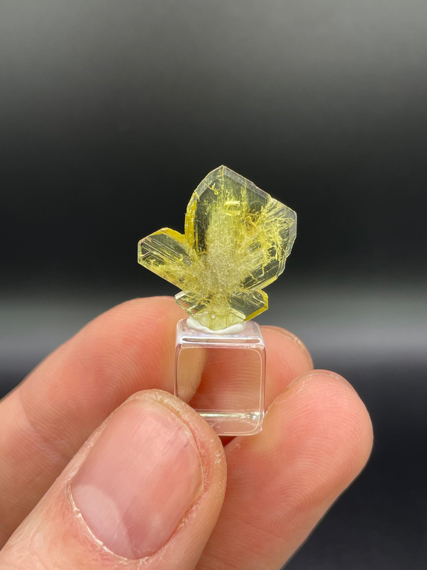 Chrysoberyl Twin Crystal, Madagascar