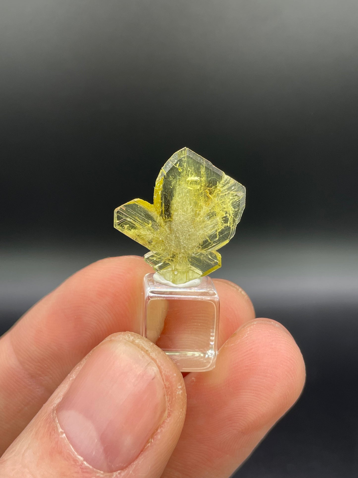 Chrysoberyl Twin Crystal, Madagascar