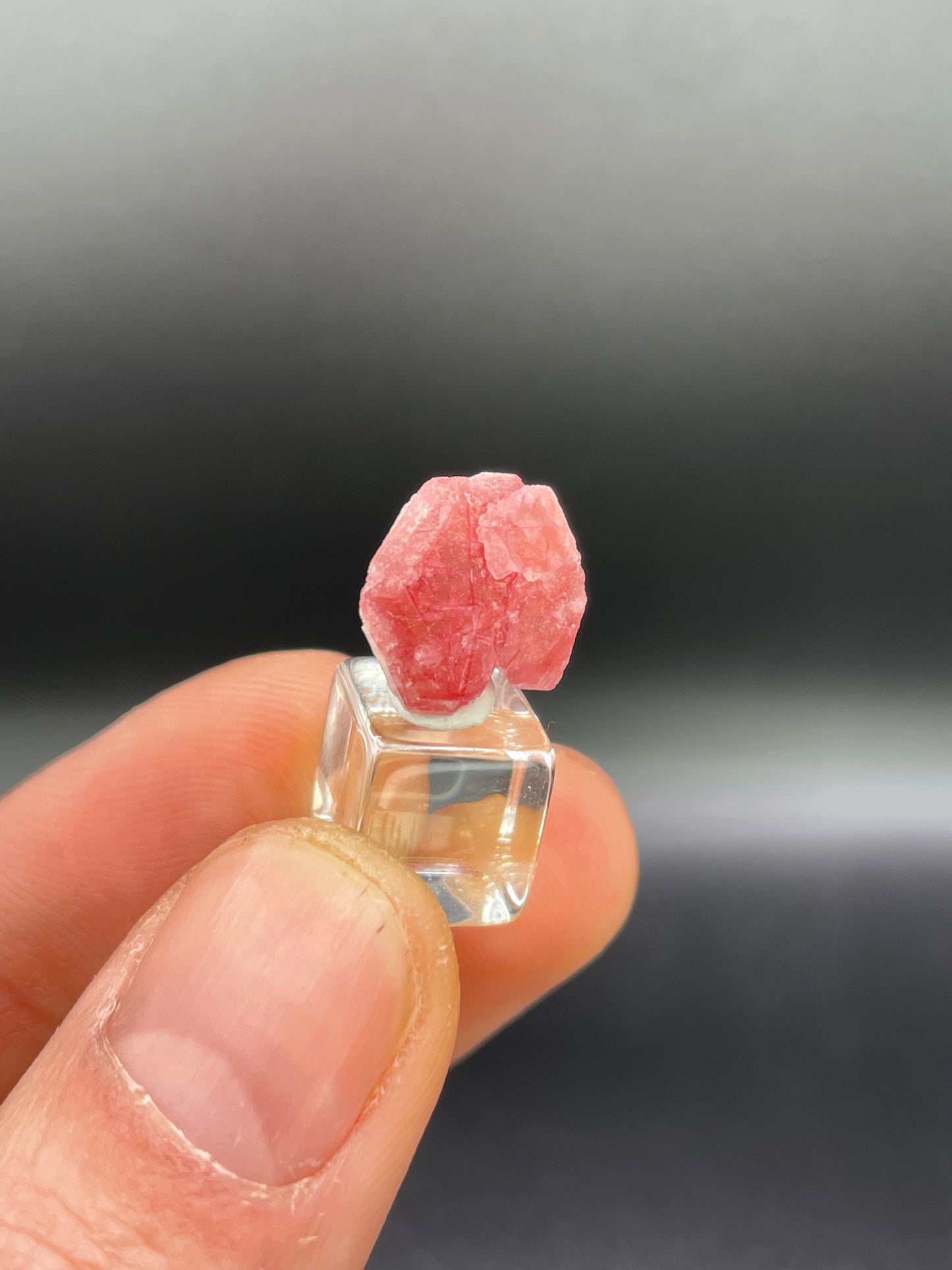 Pezzottaite Crystal, Madagascar