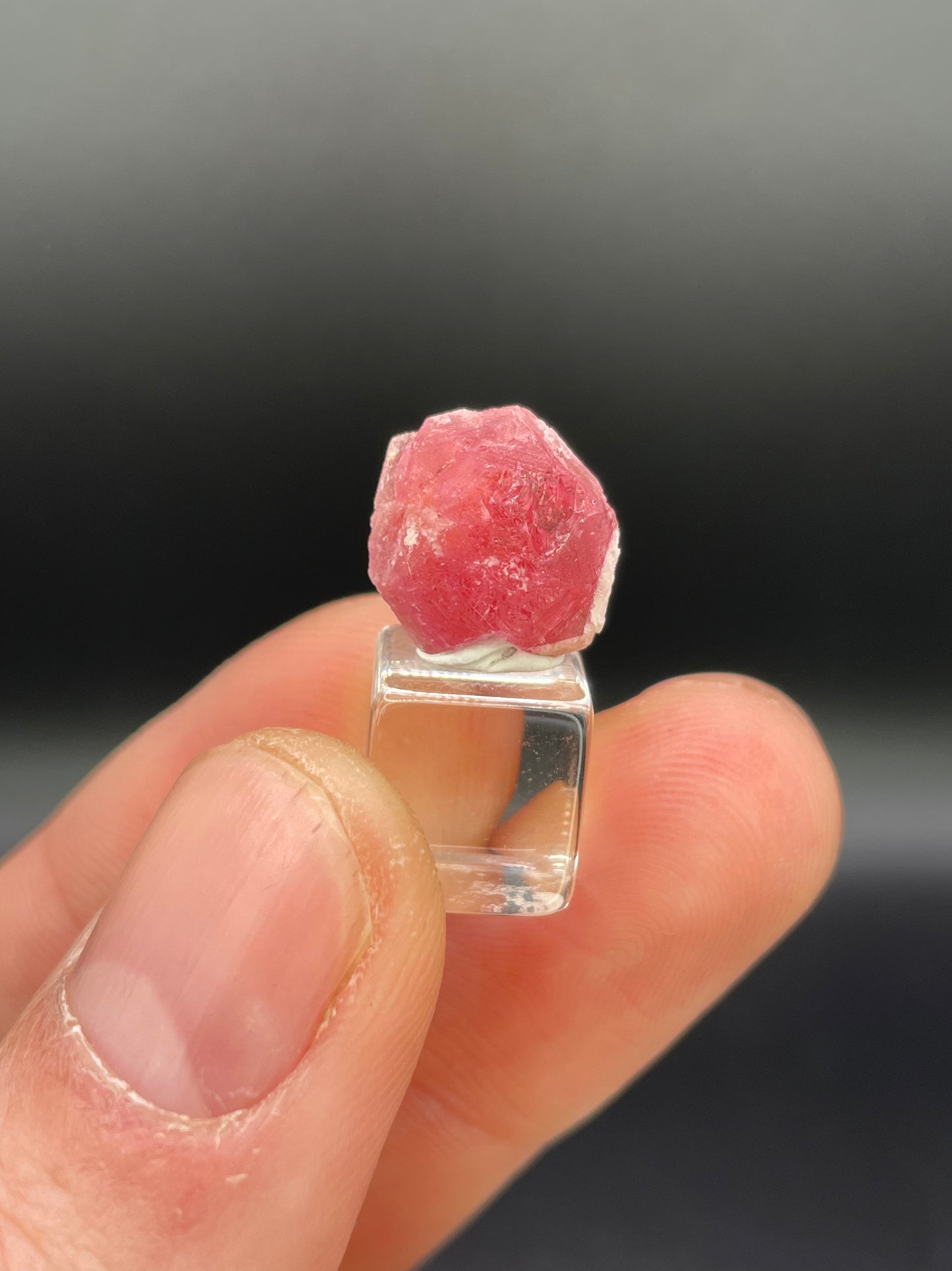 Pezzottaite Crystal, Madagascar