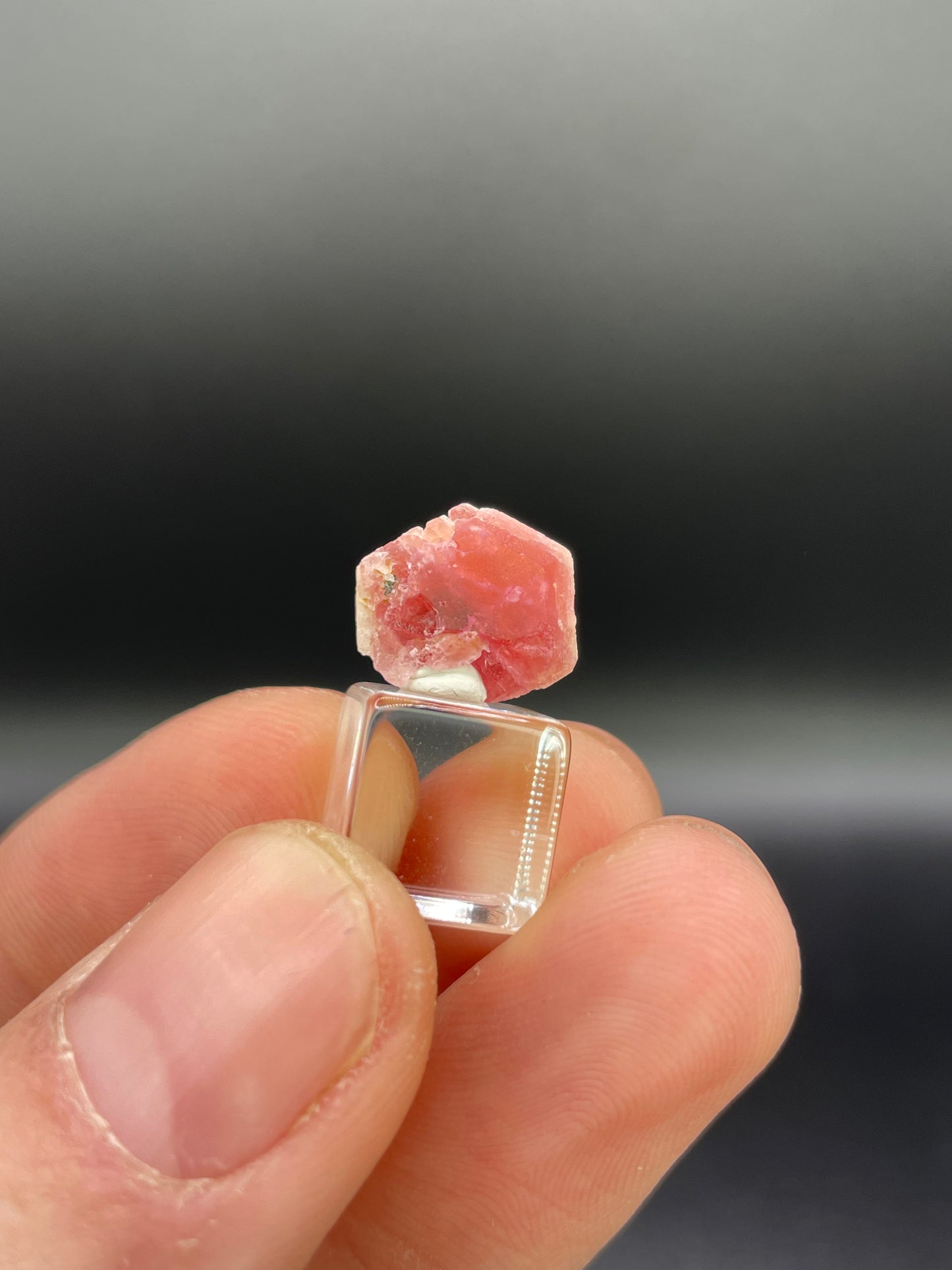 Pezzottaite Crystal, Madagascar
