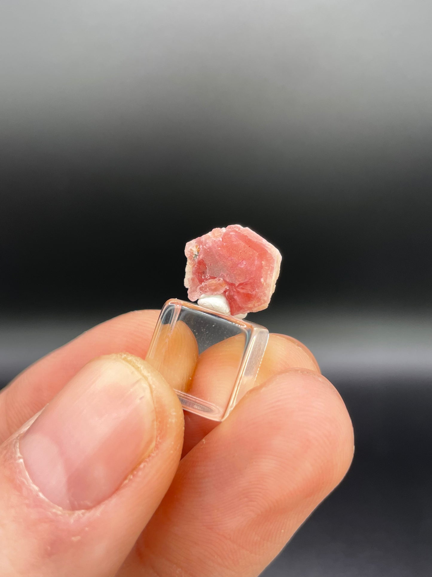 Pezzottaite Crystal, Madagascar