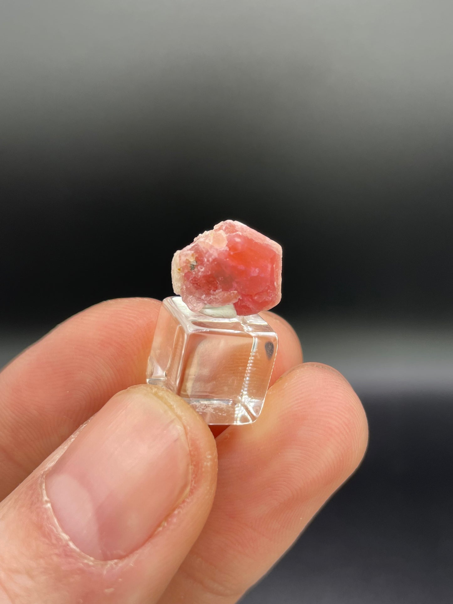 Pezzottaite Crystal, Madagascar