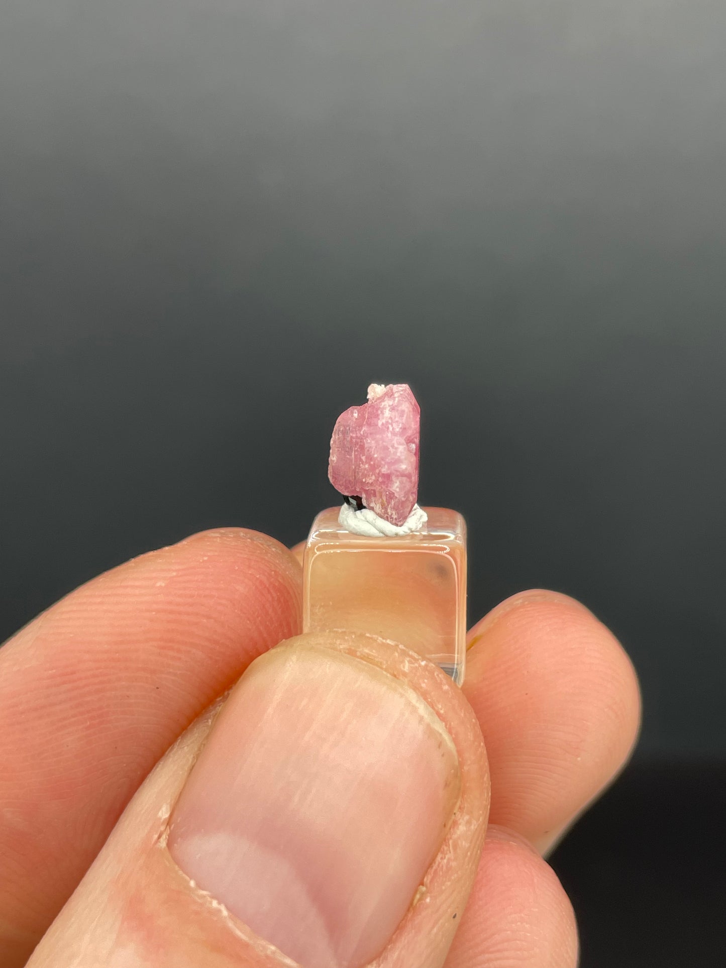 Pezzottaite Crystal, Madagascar