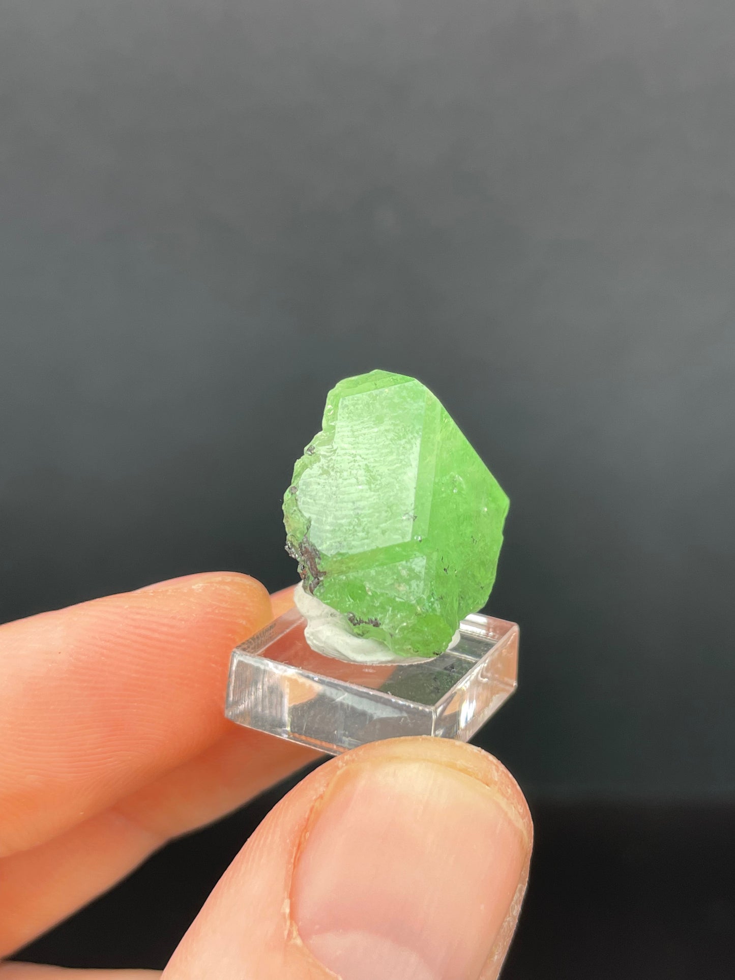 Tsavoirte Garnet, Tanzania
