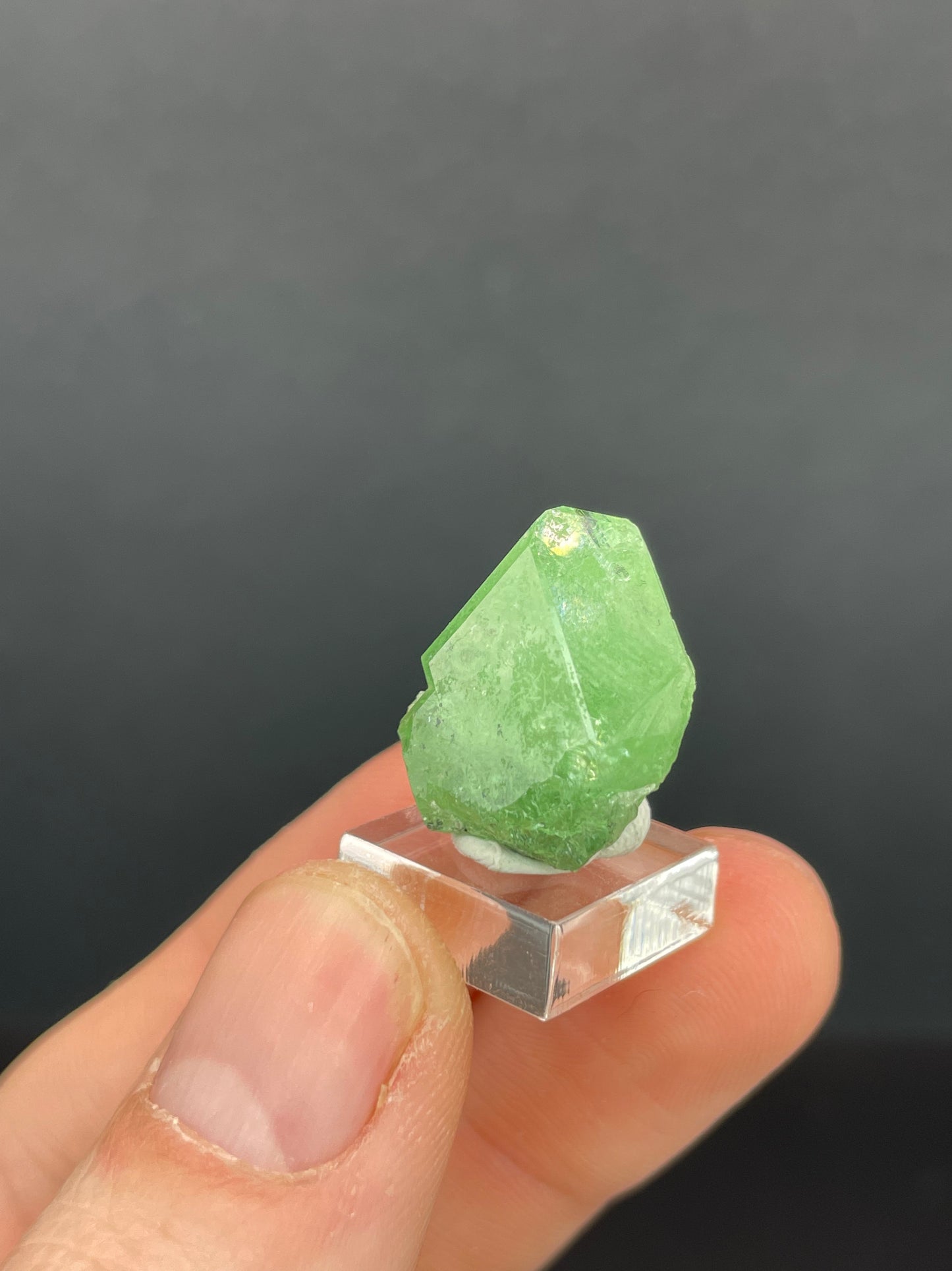 Tsavoirte Garnet, Tanzania