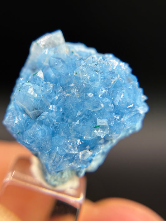 Shattuckite in Quartz, Kunene Region, Namibia