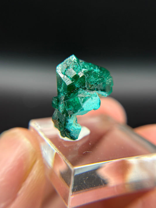 Dioptase, Kunene Region, Namibia