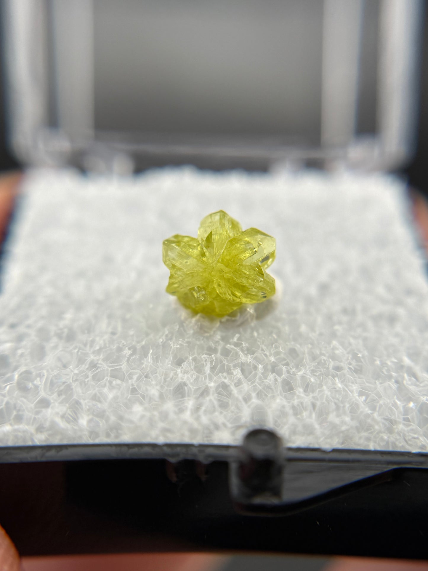 Chrysoberyl, Lac Alaotra, Madagascar