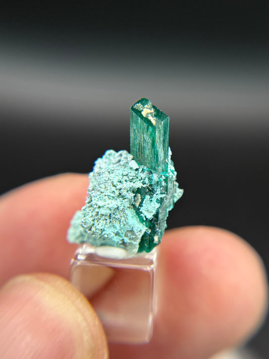 Dioptase and Shattuckite, Kunene Region, Namibia