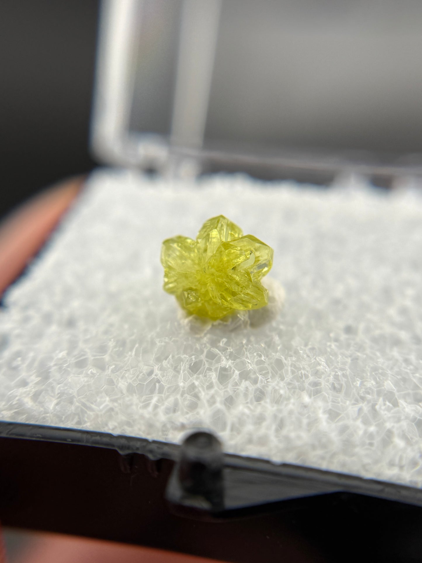 Chrysoberyl, Lac Alaotra, Madagascar