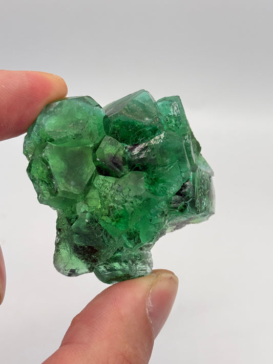 Fluorite, Milpo mine, Atacocha, Pasco Prov., Peru