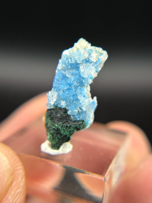 Shattuckite, Malachite and Quartz, Kunene Region, Namibia