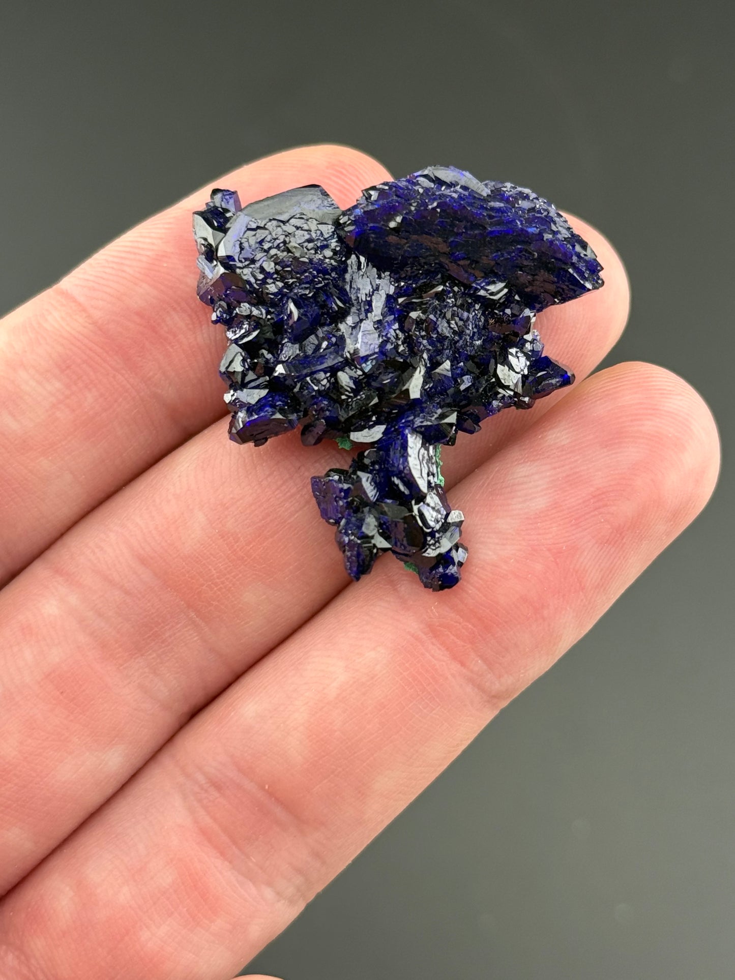 Azurite from Milpillas Mine, Mexico