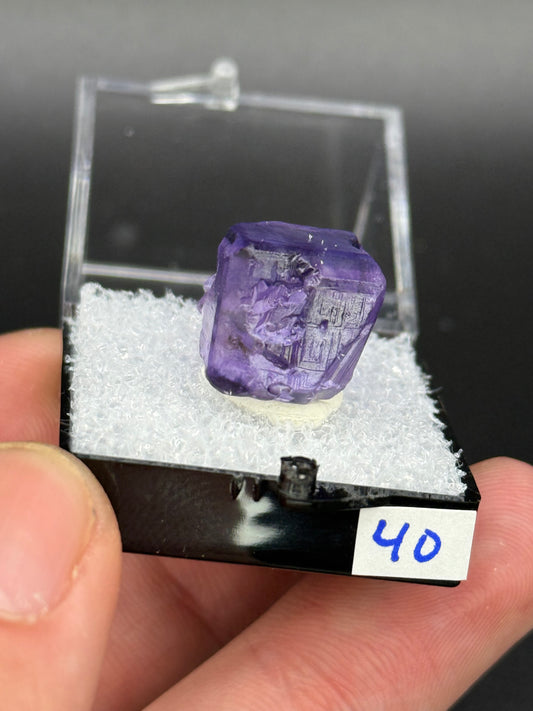 Fluorite, Mandinga Mine, Laguna Brava, Loboy District, Unión Department, Córdoba Province, Argentina.
