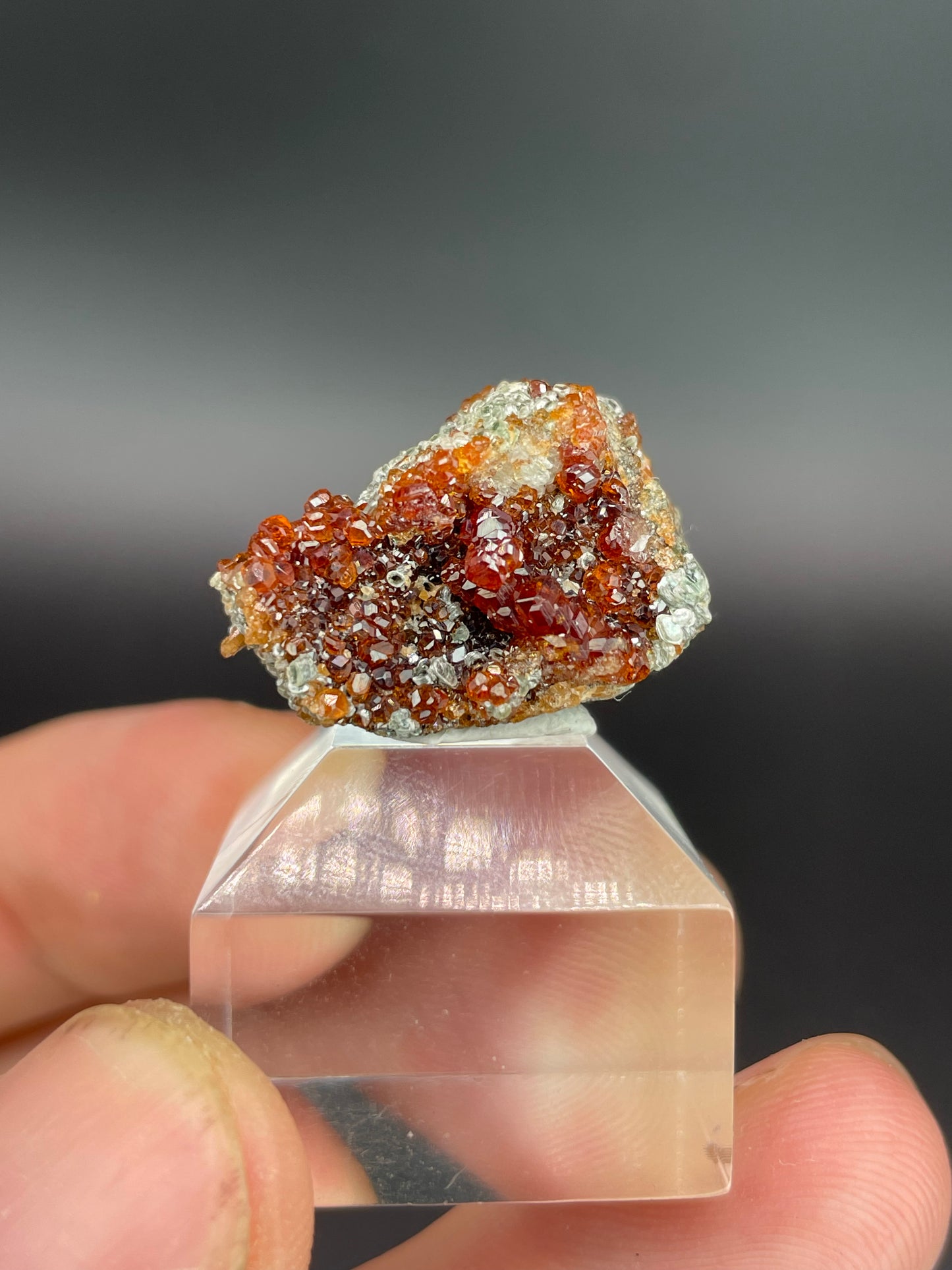 Hessonite garnet, Clinochlore, Valle d'Aosta, Italy