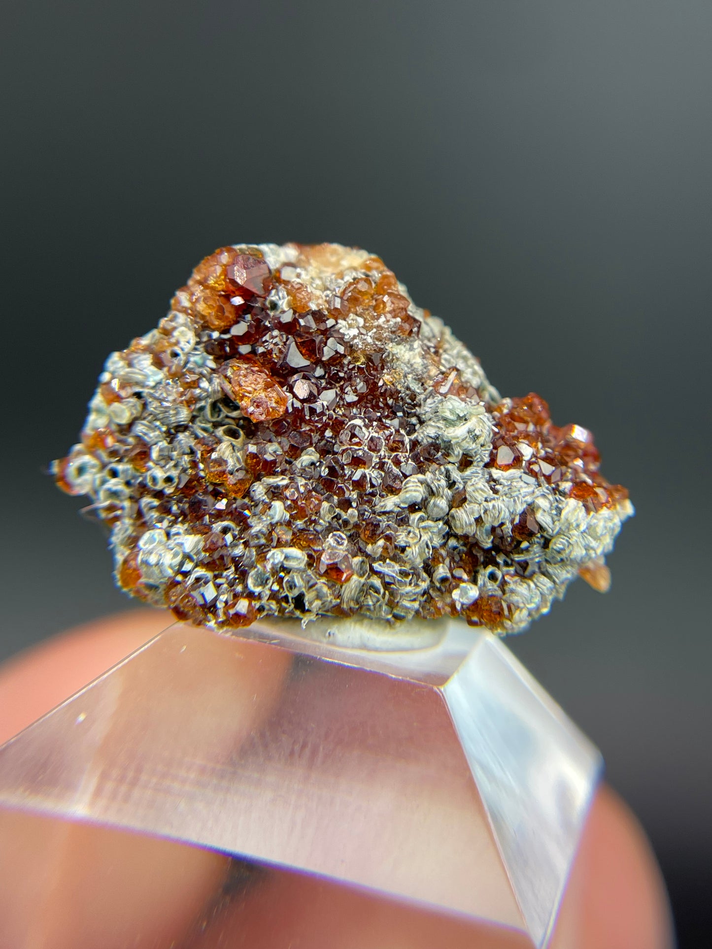 Hessonite garnet, Clinochlore, Valle d'Aosta, Italy