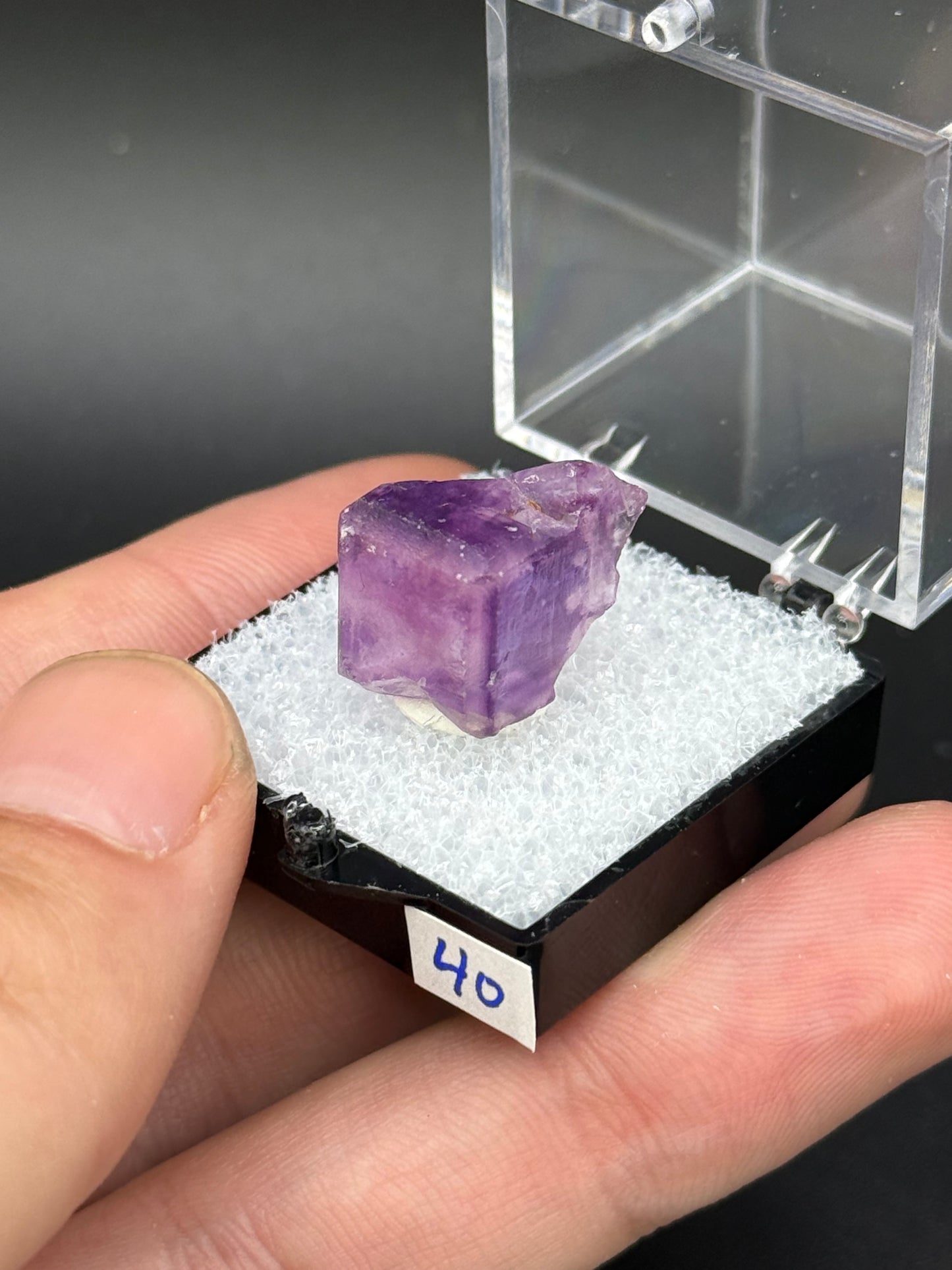 Fluorite, Mandinga Mine, Laguna Brava, Loboy District, Unión Department, Córdoba Province, Argentina.