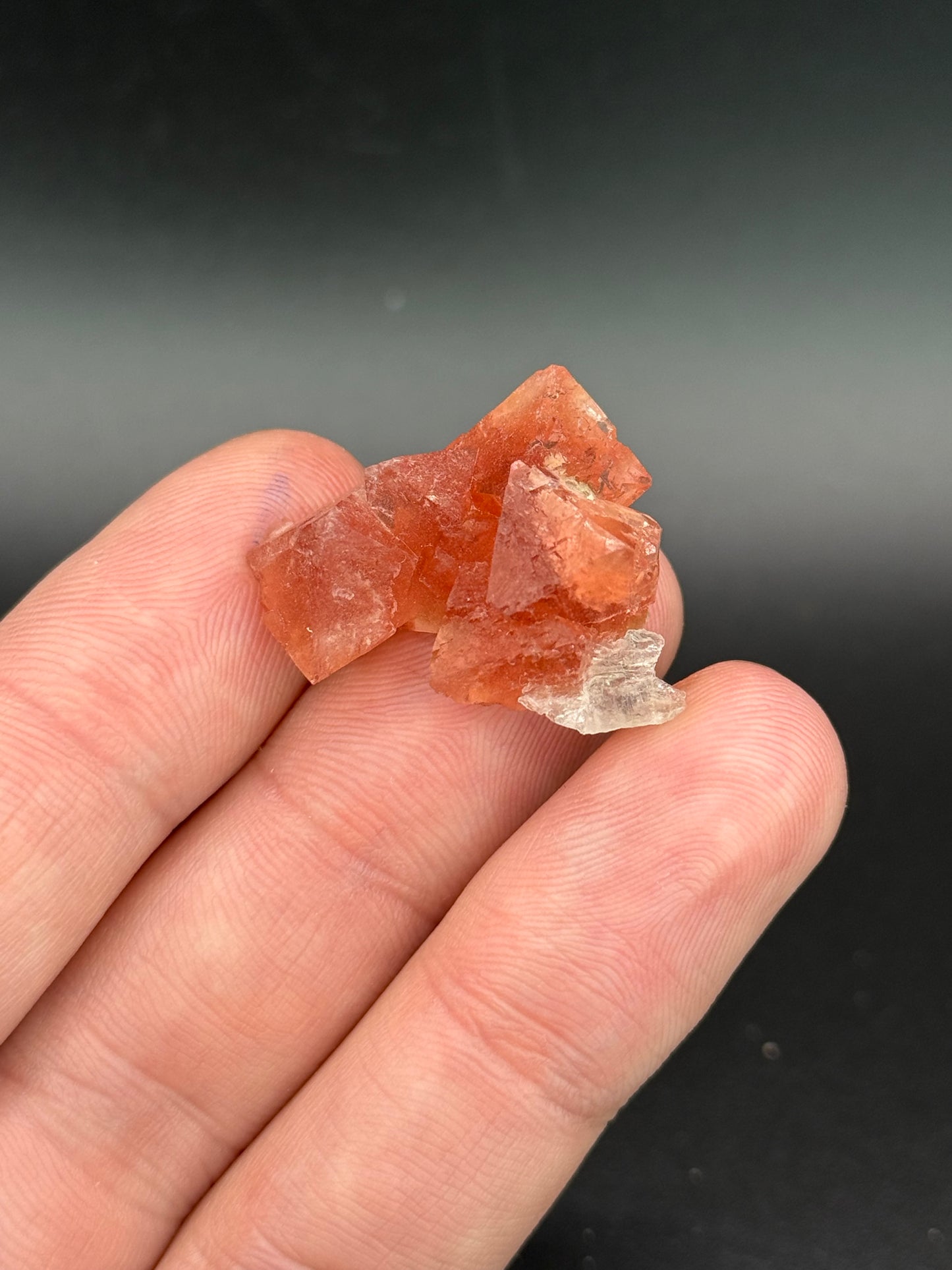 Fluorite, Point Kurtz, Chamonix, Mont Blanc, France