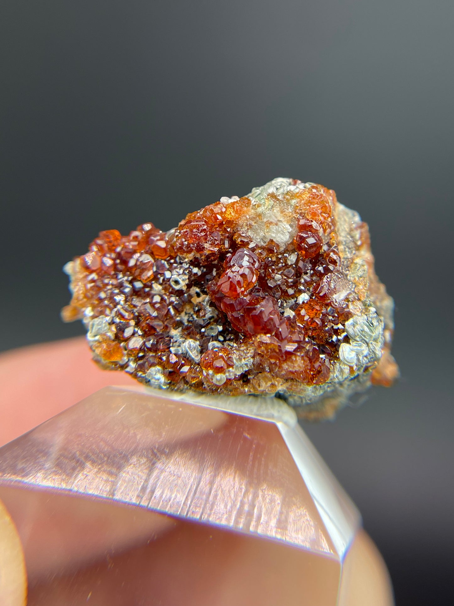 Hessonite garnet, Clinochlore, Valle d'Aosta, Italy