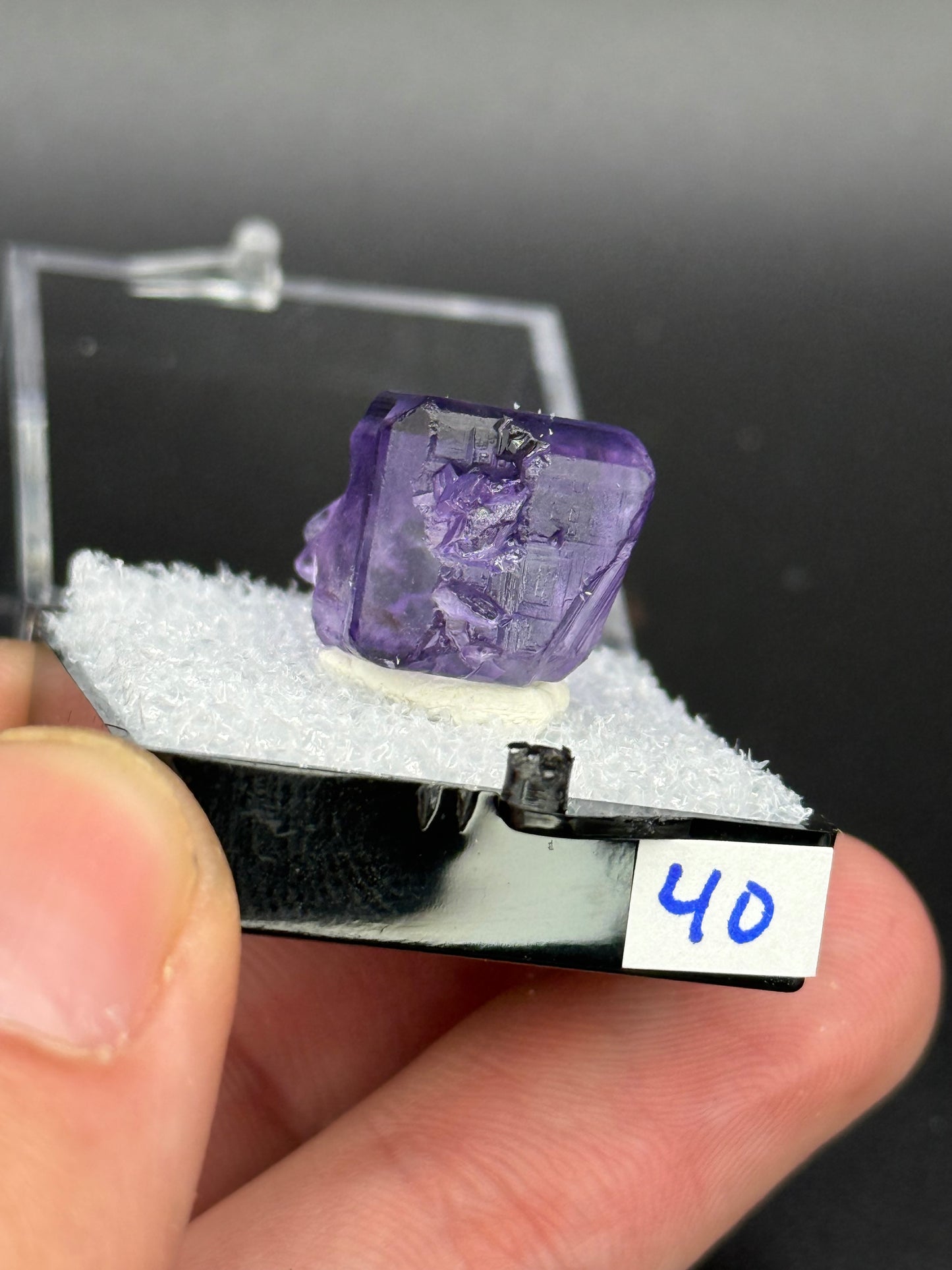 Fluorite, Mandinga Mine, Laguna Brava, Loboy District, Unión Department, Córdoba Province, Argentina.