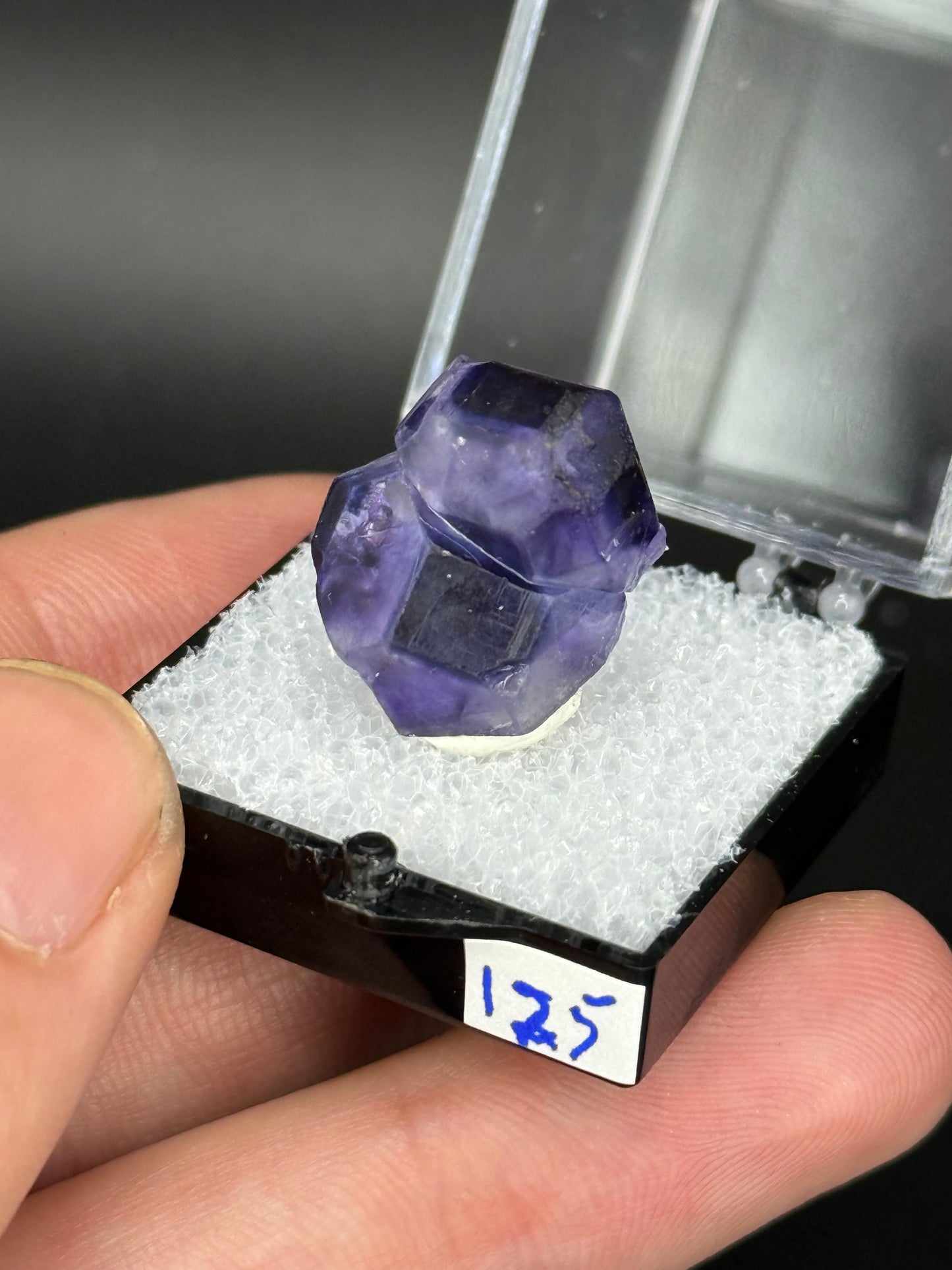 Fluorite, Mandinga Mine, Laguna Brava, Loboy District, Unión Department, Córdoba Province, Argentina.
