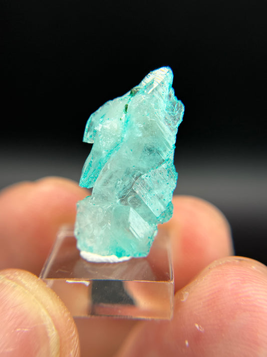Dioptase and Quartz, Kunene Region, Namibia