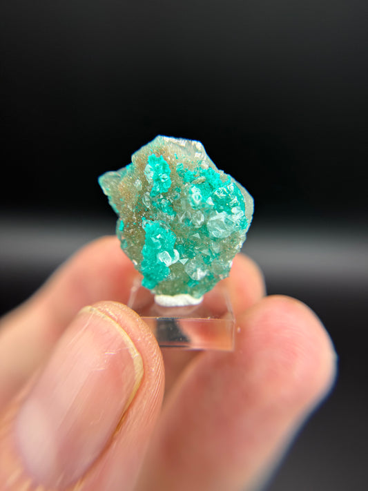 Dioptase and Quartz, Kunene Region, Namibia
