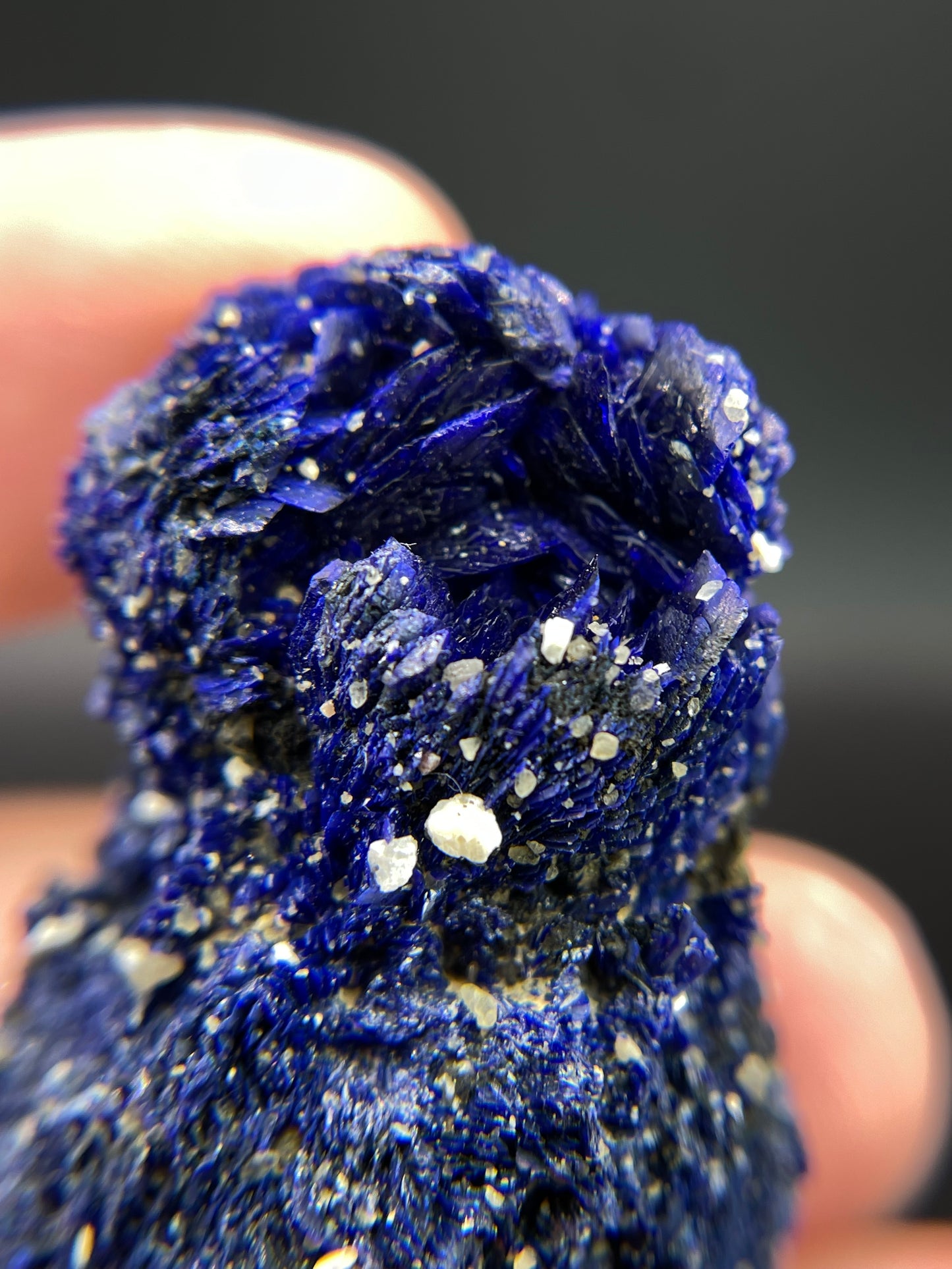 Azurite, Chessy-les-Mines, Rhone, Rhone-Alpes, France