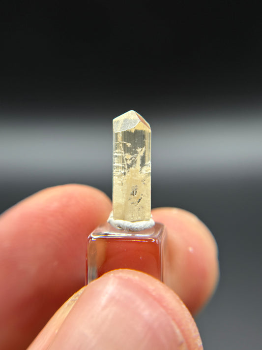 Phenakite, Anjanabonoina pegmatite, Mount Ikaka, Antananarivo Province, Madagascar