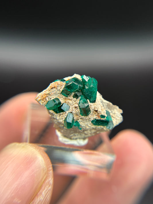 Dioptase, Kunene Region, Namibia
