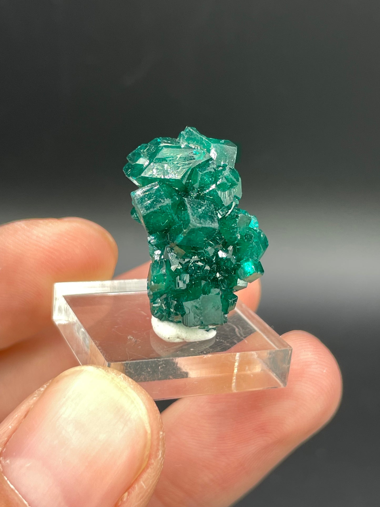 Dioptase, Tantara Mine, Haut-Katanga, DR Congo