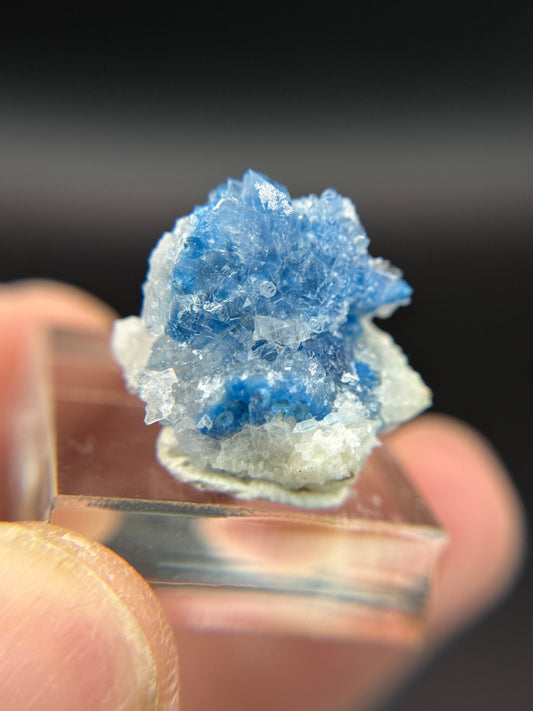 Shattuckite in Quartz, Kunene Region, Namibia