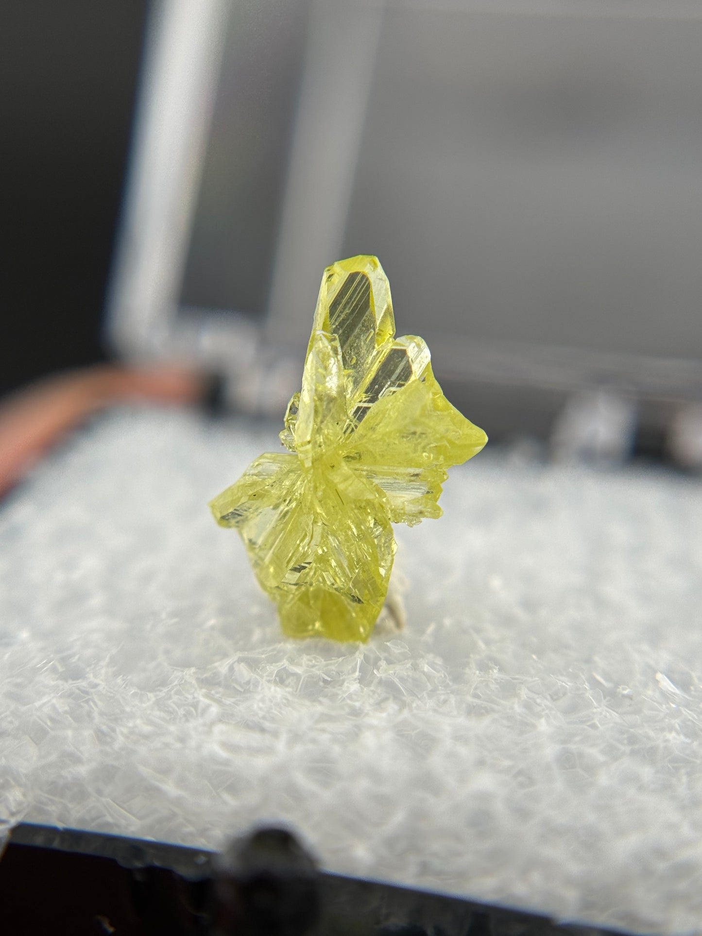 Chrysoberyl, Lac Alaotra, Madagascar