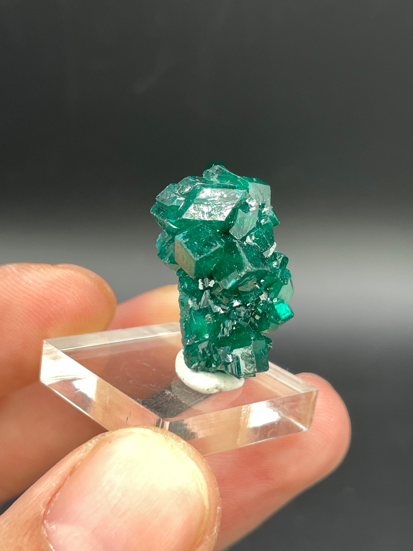 Dioptase, Tantara Mine, Haut-Katanga, DR Congo