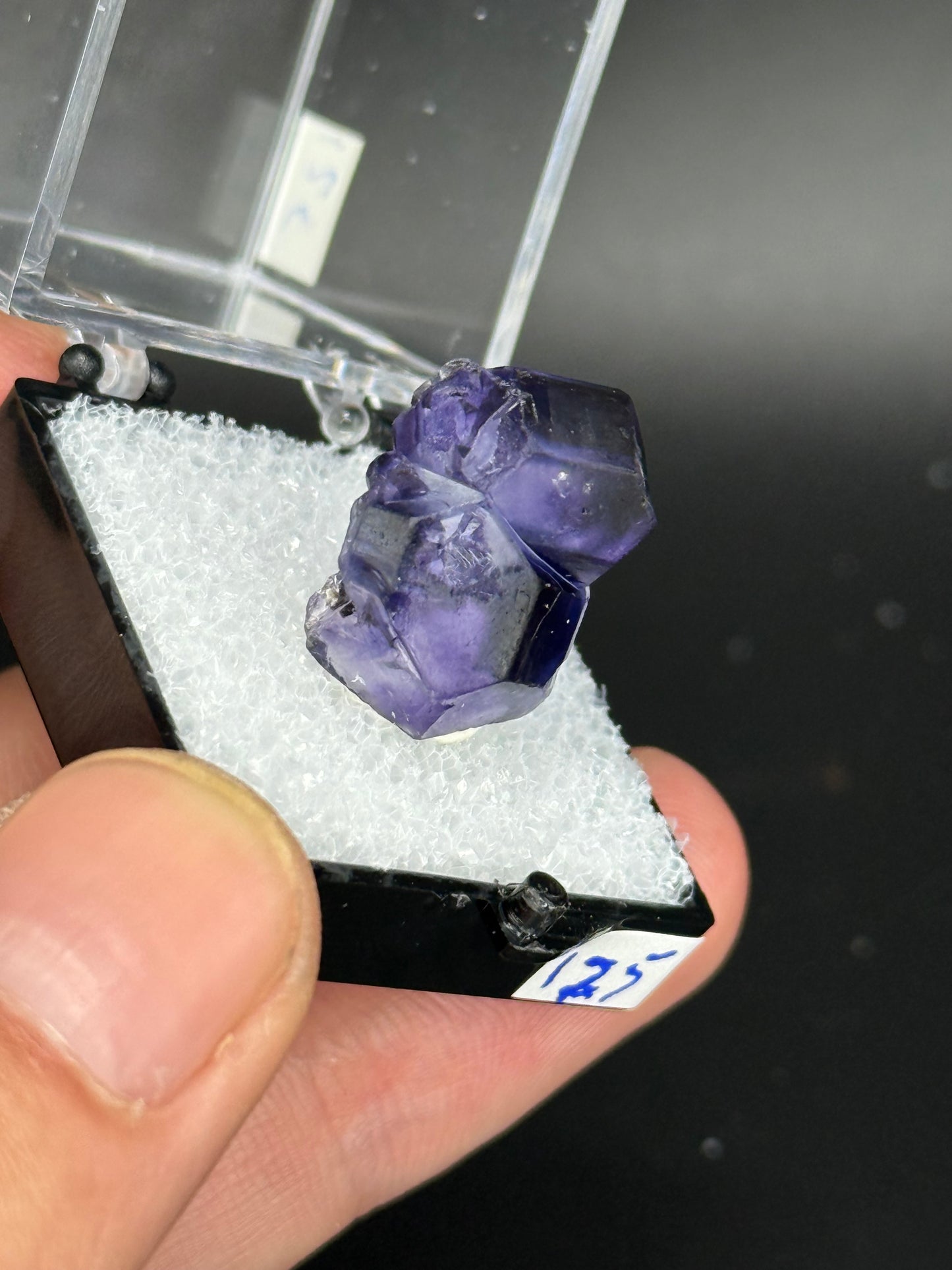Fluorite, Mandinga Mine, Laguna Brava, Loboy District, Unión Department, Córdoba Province, Argentina.