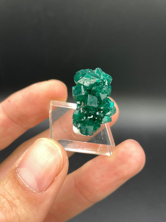 Dioptase, Tantara Mine, Haut-Katanga, DR Congo